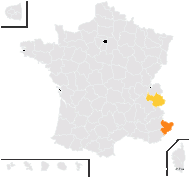 Hieracium cymosum subsp. sabinum (Sebast. & Mauri) Nägeli & Peter - carte de répartition