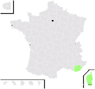 Senecio transiens (Rouy) Jeanm. - carte de répartition