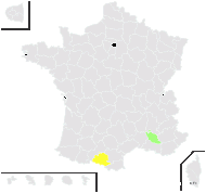 Hieracium solidagineum Fr. - carte de répartition