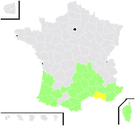 Senecio lividus L. - carte de répartition