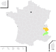 Hieracium stenoplecum Arv.-Touv. & Huter - carte de répartition