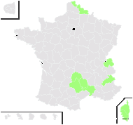 Senecio ovatus subsp. alpestris (Gaudin) Herborg - carte de répartition