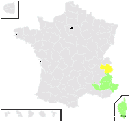 Hieracium favratii Muret ex Gremli - carte de répartition