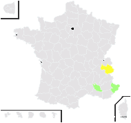 Hieracium tardiusculum subsp. tenue Nägeli & Peter - carte de répartition