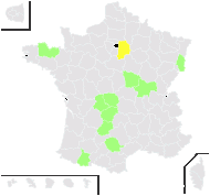 Hieracium rigidum subsp. tridentatum (Fr.) Sudre - carte de répartition