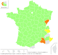 Senecio sylvaticus L. - carte de répartition