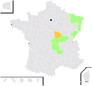 Senecio vernus Biv. - carte de répartition