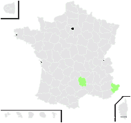 Hieracium vasconicum Martrin-Donos - carte de répartition