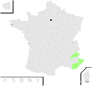 Klasea lycopifolia (Vill.) Á.Löve & D.Löve - carte de répartition