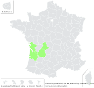 Solidago graminifolia (L.) Salisb. - carte de répartition