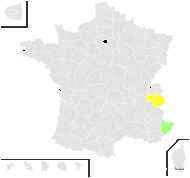 Pilosella litardiereana (Zahn) Soják - carte de répartition