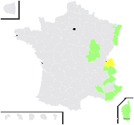 Hieracium caricinum Arv.-Touv. - carte de répartition