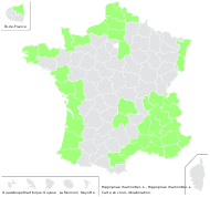Hippophae rhamnoides L. - carte de répartition
