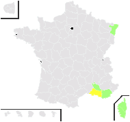 Hordeum sieberianum Schult. & Schult.f. - carte de répartition