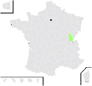 Hypericum ×medium Peterm. - carte de répartition