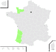 Limbarda crithmoides (L.) Dumort. subsp. crithmoides - carte de répartition