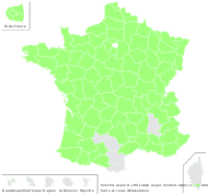 Sonchus asper (L.) Hill subsp. asper - carte de répartition