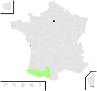 Jasione crispa (Pourr.) Samp. subsp. crispa - carte de répartition