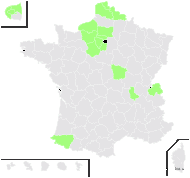 Juncus tenuis Willd. subsp. tenuis - carte de répartition