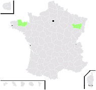 Juncus ×brueggeri Domin - carte de répartition