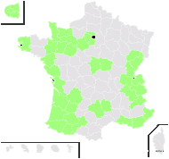 Kickxia spuria (L.) Dumort. subsp. spuria - carte de répartition