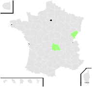 Knautia ×koehleri Briq. - carte de répartition