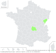 Knautia ×koehleri Briq. - carte de répartition