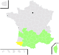 Staehelina dubia L. - carte de répartition