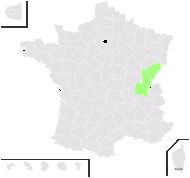 Lamium ×holsaticum Prahl - carte de répartition