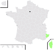 Lantana camara L. - carte de répartition