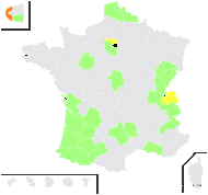 Lathyrus nissolia L. var. nissolia - carte de répartition