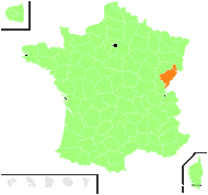 Leontodon taraxacoides (Vill.) Mérat subsp. taraxacoides - carte de répartition