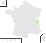 Leontodon ×karpathianus Soó - carte de répartition