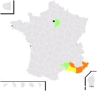 Balsamita multifida Clemente - carte de répartition