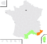 Bupleurum glaucum Robill. & Castagne ex DC. - carte de répartition