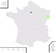 Linum catharticum var. subalpinum Hausskn. - carte de répartition