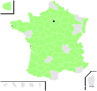 Luzula forsteri (Sm.) DC. subsp. forsteri - carte de répartition