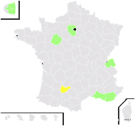 Medicago minima (L.) L. var. minima - carte de répartition