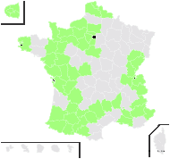 Medicago sativa subsp. macrocarpa Urb. - carte de répartition
