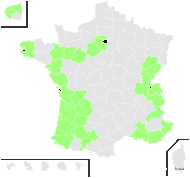 Melissa officinalis L. subsp. officinalis - carte de répartition