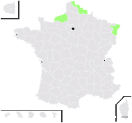 Metasequoia glyptostroboides Hu & W.C.Cheng - carte de répartition