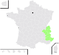 Alsine laricifolia var. villosissima Rouy & Foucaud - carte de répartition