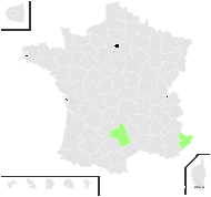 Alsine rostrata proles lanuginosa (H.J.Coste) Rouy & Foucaud - carte de répartition