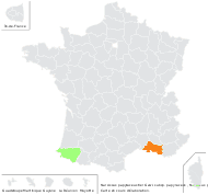 Narcissus papyraceus Ker Gawl. subsp. papyraceus - carte de répartition
