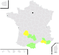 Tragopogon angustifolius Bellardi ex Willd. - carte de répartition