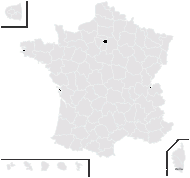 Nepeta ×faassenii Bergmans ex Stearn - carte de répartition