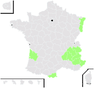 Cruciundula minima (Ard.) Raf. - carte de répartition