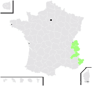 Thlaspi repens Maire - carte de répartition
