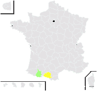 Onopordum acaulon L. subsp. acaulon - carte de répartition