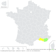 Ophrys ×broeckii A.Camus - carte de répartition